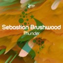 Sebastian Brushwood - Thunder (Original Mix)