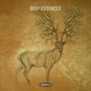 Spiced Boogie - Permanent Wave