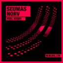 Seumas Norv - Feel Right