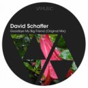 David Schaffer - Goodbye My Big Friend (Original Mix)