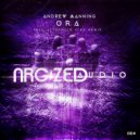 Andrew Manning - Ora (Alternate High Remix)