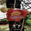 Madame M - Tropical Bazism