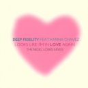 Deep Fidelity feat. Karina Chavez - Looks Like I\'m In Love Again (Nigel Lowis Diamond Cut Dub)