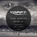 OIBAF&WALLEN - Bjorn (Joel Talbot Remix)