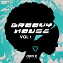 Dark Society - Lions