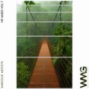 Danny Soundz - Back 2 Da River (WoNK Alternate VIP Remix)