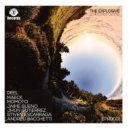 Andreu Bacchetti - Mistake