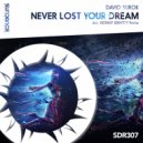 David Surok - Never Lost Your Dream