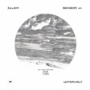 Zalem - Sensor