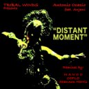 Antonio Ocasio feat. Anjani - Distant Moment