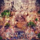 Future Species - Quantum Field (Original Mix)