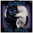 Aurefx - Yin Yang (Pro Mix)