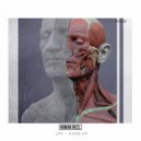 LPP - Sahelanthropus