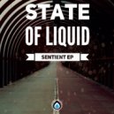 State of Liquid - Reaction (Original Mix)
