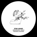 Etur Usheo - Hip Shaking (Original Mix)