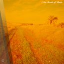 Baghira - Anonymous Textures (Original Mix)
