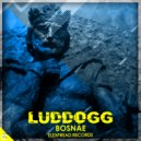 LudDogg - Download