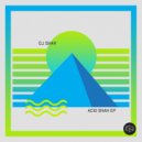 Dj Shah - Acid Shah (Original Mix)