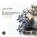 Liquitek & Electrosoul System - Space Frog