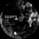 Nicola Carlomagno - Hands