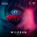 DoubleV - Timeloop