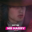 Mr Harry - Got Me (Original Mix)