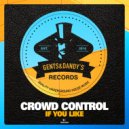 Crowd Control - If You Like (B&S Concept Remix)
