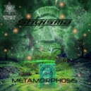 Shyisma - Metamorphosis (Original Mix)