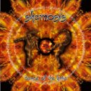 Shamosis - Intoxication