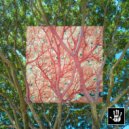 Rennie Foster - Vista (Minus Five Wolves Remix)