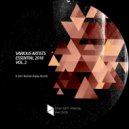 Vincenzo Tedesco - Larm (Original Mix)