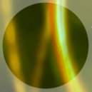 Hiro Ikezawa - Acid Silver