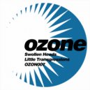 Swollen Heads - Speaking In Technicolour