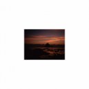 Mindfulness Healing Bgm Project - Muscle and Self talk