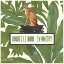 Jaques Le Noir - I Never Felt So Right