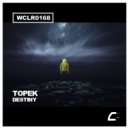 Topek - Acid Dancing (Original Mix)