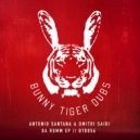 Antonio Santana, Dmitri Saidi - Swirl