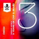 Peter Lankton - Gekko