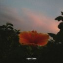 Spectare - Experiences