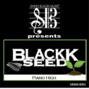 BlackkSeed - Piano High (BlackkSeedz Piano Main Print)