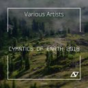 Cymatics - Love Land (Original Mix)