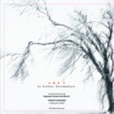 Stefano Estremadoyro - Different Perceptions (Original Mix)