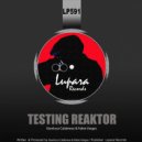 Gianluca Calabrese, Fabio Vargas - Testing Reaktor