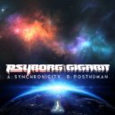 Psyborg & Gigabit - Synchronicity (Original Mix)