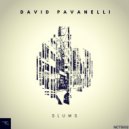 David Pavanelli - Mute Time