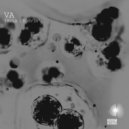 James Meid - Dont Dance