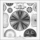 Erkka - Not Only Dark