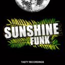 Disko Junkie - Promised Land