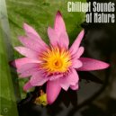 Koenigssee Echo - Interstellar Love