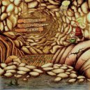 Pororoca - Consens Intensus